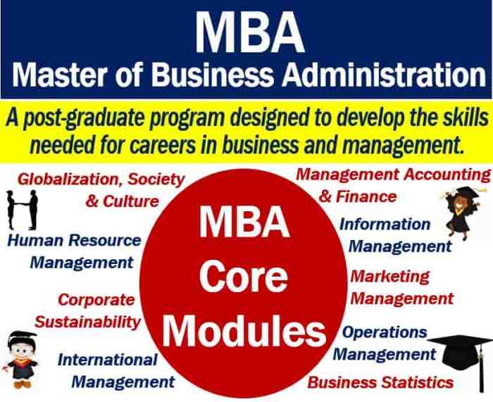 MBA Learning Platforms