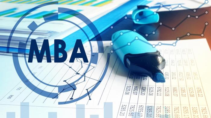 MBA For Senior Executives